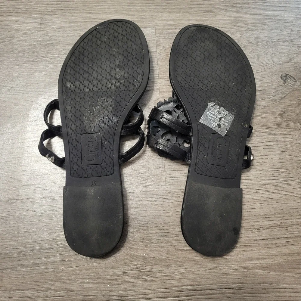 Circus by Sam Edelman Womens Clara Black Laser Cut Medallion Thong Sandals 8.5
